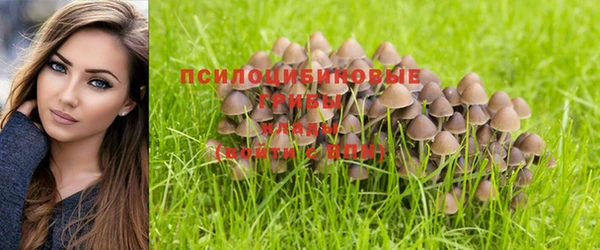 шишки Балабаново