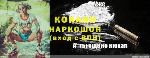 шишки Балабаново