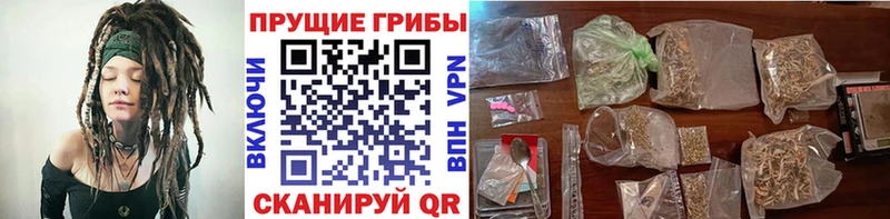 Псилоцибиновые грибы Psilocybine cubensis  площадка формула  Волжск 